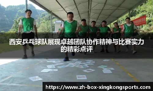 西安乒乓球队展现卓越团队协作精神与比赛实力的精彩点评